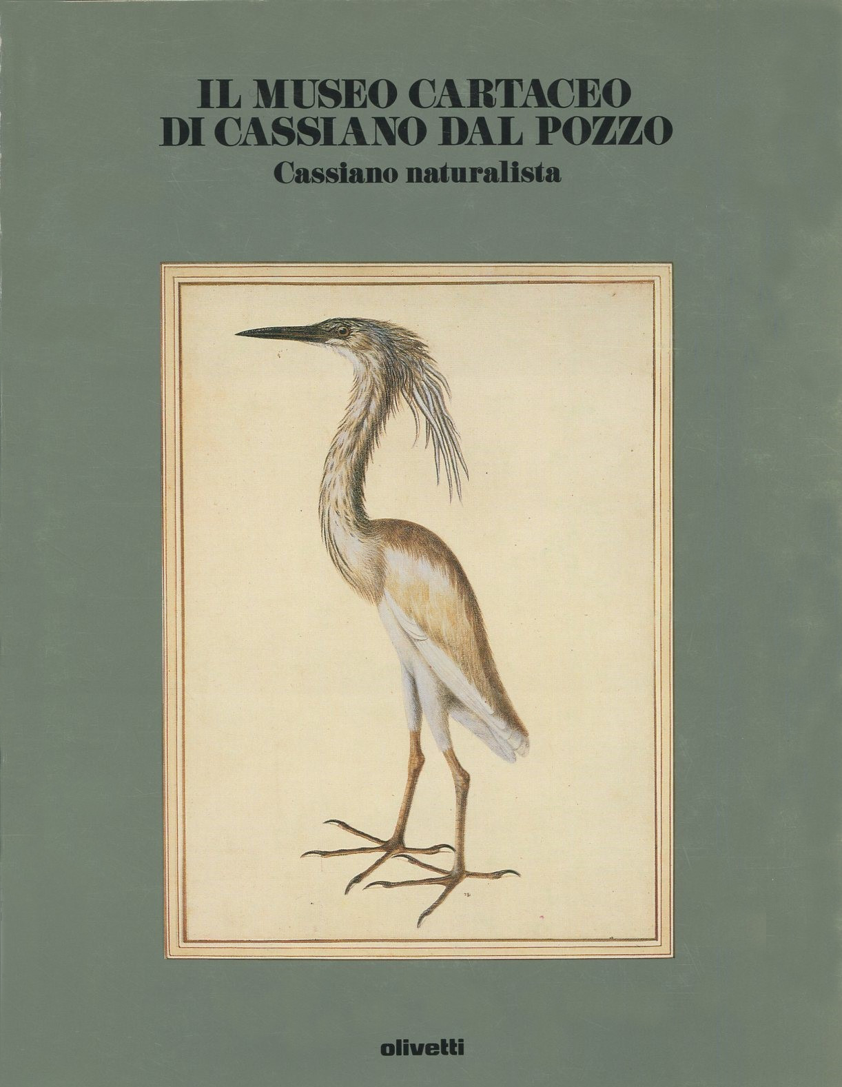 The Paper Museum of Cassiano dal Pozzo. Cassiano naturalista